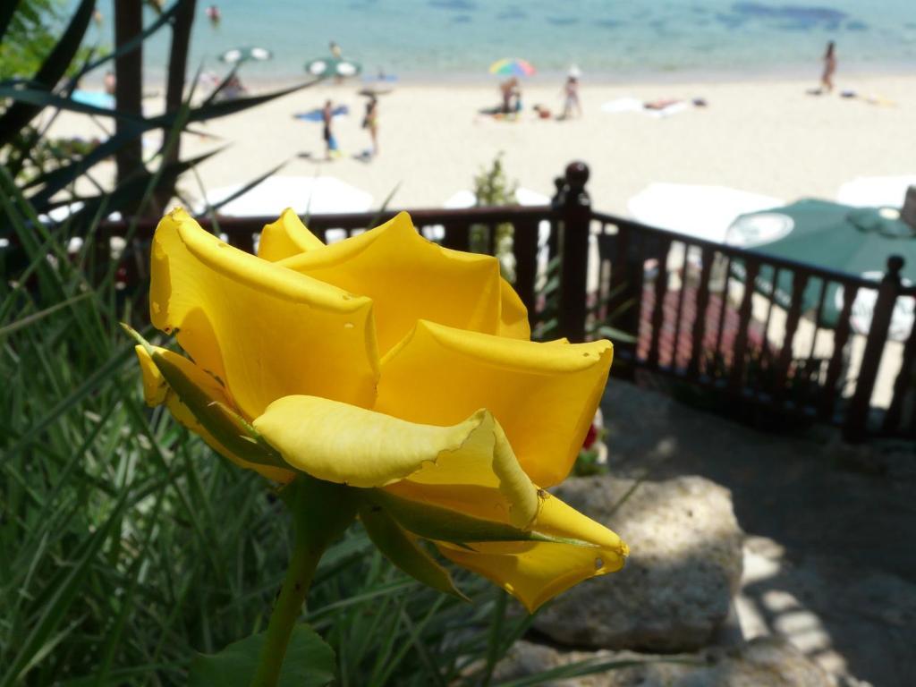 Morski Briag Hotel Golden Sands Luaran gambar